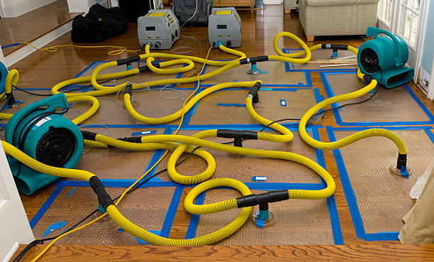 Professional Water Damage Repair technician working in Leesville, LA